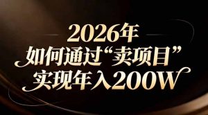 站在2026年的十字路口：一个普通人如何通过卖项目实现年入200万-大象聊项目