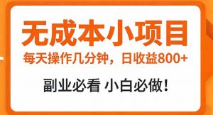 无成本小项目 每天操作几分钟，真实日收益800+ 副业必看 小白必做！-大象聊项目