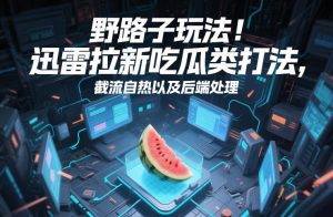 野路子玩法！迅雷拉新吃瓜类打法，截流自热以及后端处理-大象聊项目