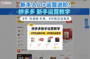 新手入门+运营进阶！拼多多新手运营教学，8节吃透新手课，8节搞定运营关-大象聊项目