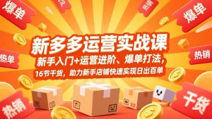 拼多多运营实战课，新手入门+运营进阶、爆单打法，16节干货，助力新手店铺快速实现日出百单-大象聊项目