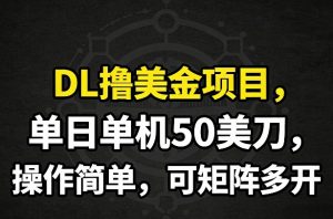 DL撸美金项目，单日单机50美刀，操作简单，可矩阵多开-大象聊项目