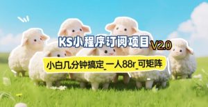 【新一期】小程序订阅_小白几分钟70-80r，可矩阵(已测到账)-大象聊项目