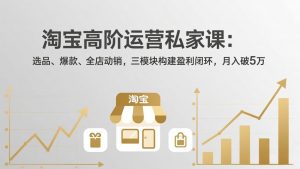 淘宝高阶运营私家课：选品、爆款、全店动销，三模块构建盈利闭环，月入破5万(更新26年2月-大象聊项目
