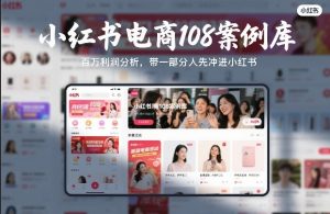 小红书电商108案例库，百W利润分析，带一部分人先冲进小红书【文档】-大象聊项目