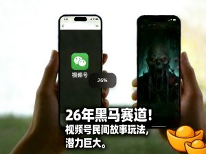 26年黑马赛道，视频号民间故事类玩法，潜力巨大，每日收益超5张-大象聊项目