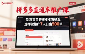 拼多多直通车推广课，别再盲目开拼多多直通车，这样做推广7天日出500单-大象聊项目