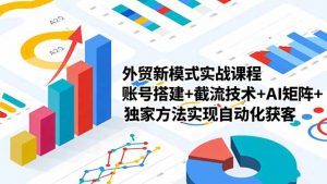 外贸新模式实战课程-更新2月，账号搭建+截流技术+AI矩阵+独家方法实现自动化获客-大象聊项目