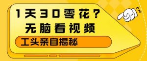1天30零花？无脑看视频，大佬亲自揭秘-大象聊项目