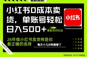 小红书0成本AI卖货，单账号轻松日入500+，完全托管AI，可矩阵放大-大象聊项目