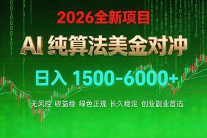 2026 全新美金对冲项目，不套平台赠金，不封号，纯算法对冲，日入 1500-6000+-大象聊项目