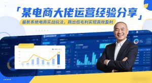 某电商大佬运营经验分享，最新系统电商实战玩法，跳出低毛利实现高效盈利(更新)-大象聊项目