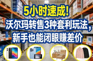 5小时速成！沃尔玛转售3种套利玩法，新手也能闭眼賺差价-大象聊项目