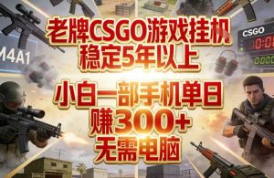 老牌CSGO游戏挂G，稳定5年以上，小白一部手机单日賺3张+，无需电脑【揭秘】-大象聊项目
