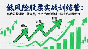 低风险股票实战训练营：低估分散排雷三箭齐发，手把手教你构建十年十倍永续组合-大象聊项目