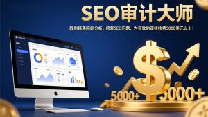 SEO审计大师：教你精通网站分析，修复SEO问题，为有效的审核收费5000美元以上！-大象聊项目
