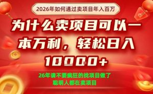 一单净利润1K+，26年想年入100个W，死磕卖项目就够了【揭秘】-大象聊项目