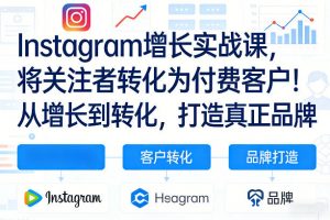 Instagram增长实战课，将关注者转化为付费客户！从增长到转化，打造真正品牌(双语字幕)-大象聊项目