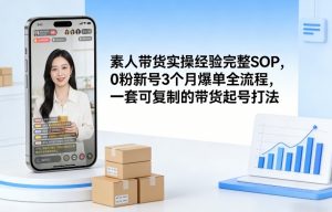 素人短视频带货实操经验完整SOP,0粉新号3个月爆单全流程,一套可复制的带货起号打法-大象聊项目