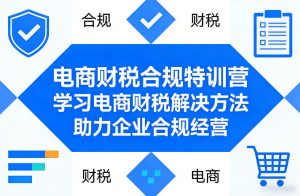 电商财税合规特训营，学习电商财税解决方法，助力企业合规经营-大象聊项目