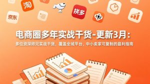 电商圈多年实战干货-更新3月：多位资深师兄实战干货，覆盖全域平台，中小卖家可复制的盈利指南-大象聊项目