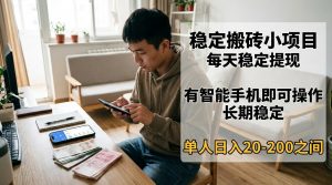 稳定搬砖小项目，每天稳定提现，有智能手机即可操作-大象聊项目