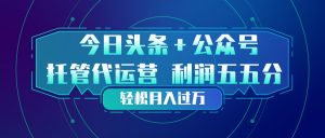 头条加公众号 托管代运营 利润分成模式 轻松月入过万-大象聊项目