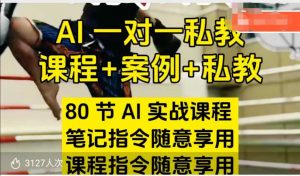 AI指令实战课，课程+案例，80节AI实战课程，笔记指令随意享用，课程指令随意享用(更新26年3月)-大象聊项目