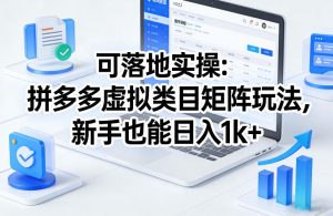 可落地实操：拼多多虚拟类目矩阵玩法，新手也能日入1k+【揭秘】-大象聊项目