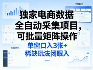 独家电商数据全自动采集项目，可批量矩阵操作，单窗口日入3张+，稀缺玩法闭眼入【揭秘】-大象聊项目