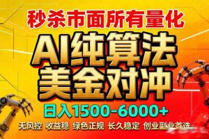 2026全网首发黑马项目，AI美金算法对冲，日入2000-6000+，稳定长效0风险，彻底告别996死工资-大象聊项目