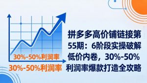 拼多多高价铺链接第55期：6阶段实操破解低价内卷，30%-50%利润率爆款打造全攻略-大象聊项目