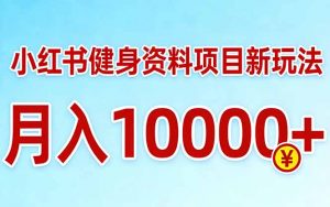 小红书健身资料项目最新玩法，月入10000＋，收益潜力可以无限放大-大象聊项目