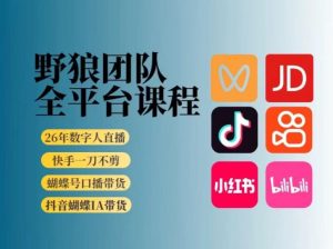 野狼团队2026新版全平台短视频带货教学，打开流量突破口，开始Ai带货(更新26年3月)-大象聊项目