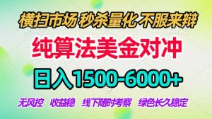 2026美金掘金新风口-纯算法对冲震撼上线！日入1500-6000+，长久合规稳健，轻松摆脱死工资-大象聊项目