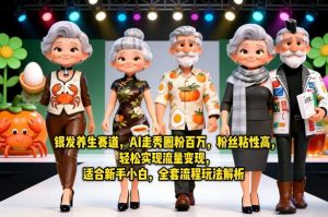 银发养生赛道，AI走秀圈粉百万，粉丝粘性高，轻松实现流量变现，适合新手小白，全套流程玩法解析-大象聊项目
