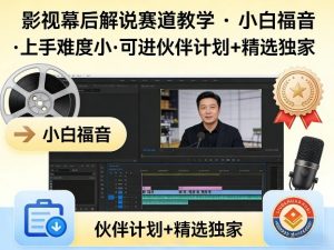 某大佬的影视幕后解说赛道教学，小白福音，上手难度小，可进伙伴计划+精选独家-大象聊项目