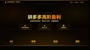 拼多多高阶盈利年费会员：全类目活动玩法、原价上大促、洗图防比价等核心盈利技术(更新26年3月-大象聊项目