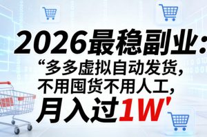 2026最稳副业:多多虚拟自动发货,不用囤货不用人工,月入过1W【揭秘】-大象聊项目