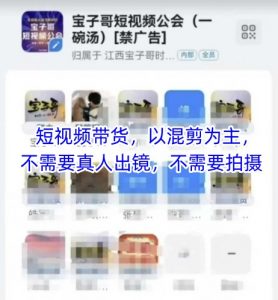 宝子哥头部团队短视频带货，以混剪为主，不需要真人出镜，不需要拍摄【更新26年3月】-大象聊项目