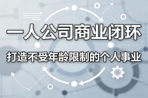 一人公司商业闭环，打造一份不受年龄限制的个人事业-大象聊项目