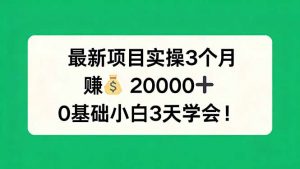 最新项目实操3个月,赚钱20000+,0基础小白3天学会!-大象聊项目