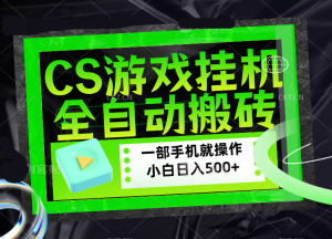 CSGO游戏挂机捡漏搬砖，超稳定的项目，带领1000+小白实现日入500+，数据可视频验证-大象聊项目