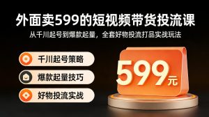 外面卖599的短视频带货投流课：从千川起号到爆款起量，全套好物投流打品实战玩法-大象聊项目