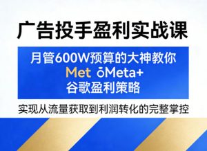 广告投手盈利实战课,月管600W预算的大神教你Meta+谷歌盈利策略,实现从流量获取到利润转化的完整掌控-大象聊项目