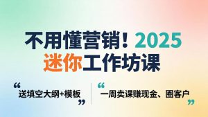 不用懂营销！2025 迷你工作坊课：送填空大纲 + 模板，一周卖课赚现金、圈客户-大象聊项目