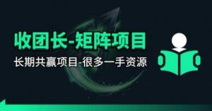 【团长合作】视频矩阵项目_招发手矩阵+剪辑师，共赢项目【揭秘】-大象聊项目