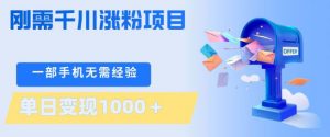 刚需千川涨粉项目，一部手机无需技术，单日变现1k+，当天做当天见收益【揭秘】-大象聊项目
