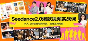 Seedance2.0爆款视频实战课：从入门到精通电商带货，品牌宣传短剧-大象聊项目