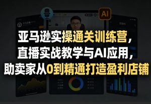 亚马逊实操通关训练营，直播实战教学与AI应用，助卖家从0到精通打造盈利店铺(更新4月17日)-大象聊项目